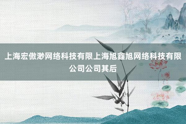 上海宏傲渺网络科技有限上海旭鑫旭网络科技有限公司公司其后